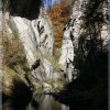 IMG_7537